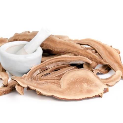 Ling Zhi (Lingzhi mushroom) as TCM ingredient
