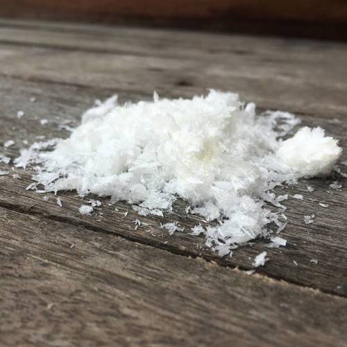 Zhang Nao (Camphor) plant