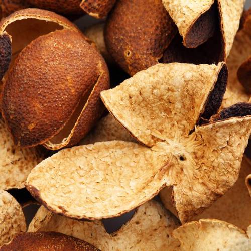 Chen Pi (Tangerine peel) as TCM ingredient