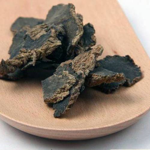 Xuan Shen (Ningpo figwort roots) as TCM ingredient