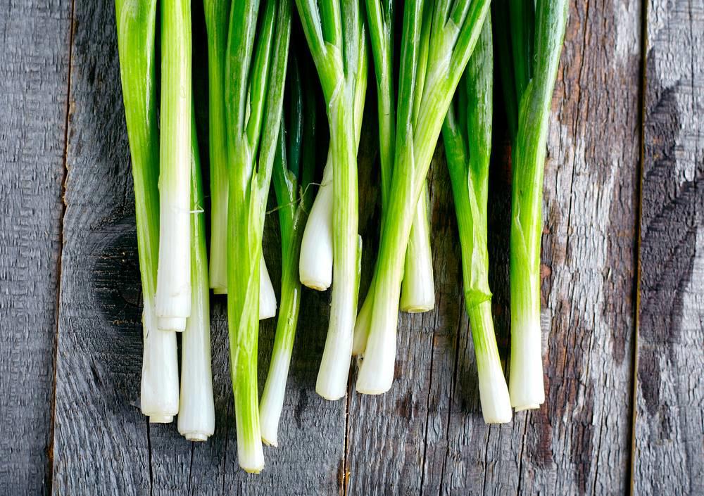 Cong Bai (Scallions) as TCM ingredient