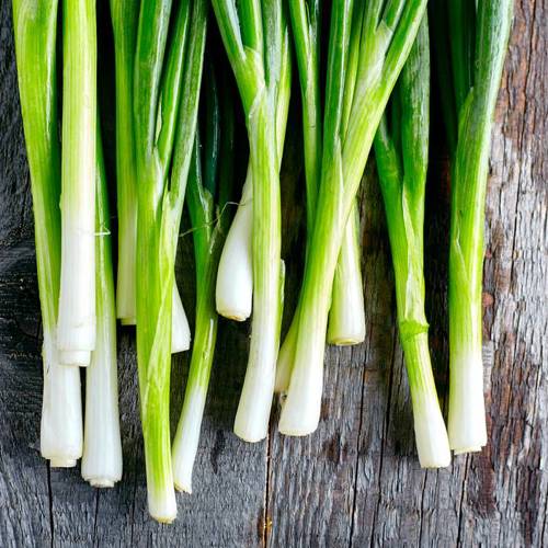 Cong Bai (Scallions) as TCM ingredient
