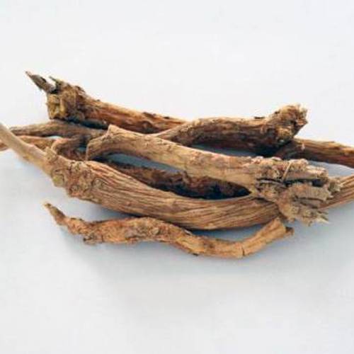 Huang Qin (Baikal skullcap roots) as TCM ingredient
