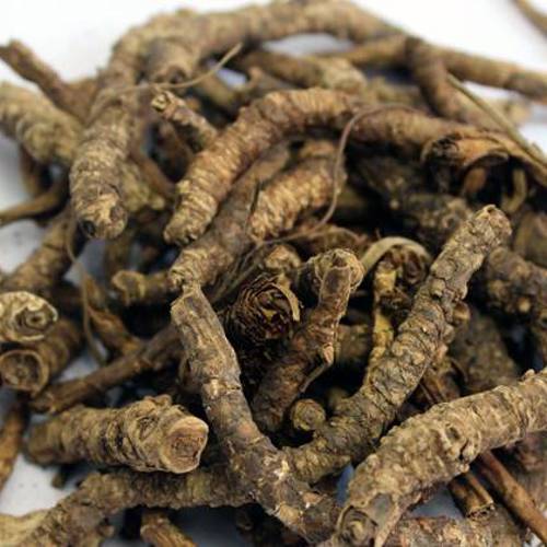 Huang Lian (Goldthread rhizomes) as TCM ingredient