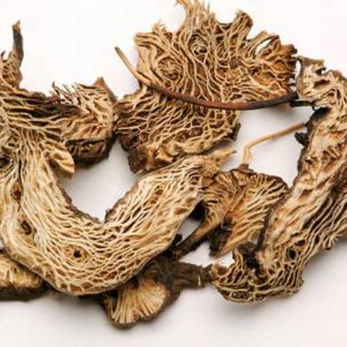Sheng Ma (Bugbane rhizomes) as TCM ingredient