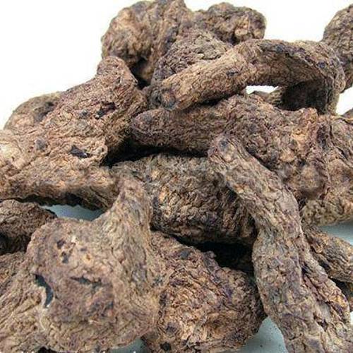 Di Huang (Unprepared Rehmannia) as TCM ingredient