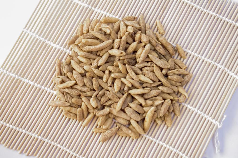 Mai Dong (Dwarf lilyturf roots) as TCM ingredient