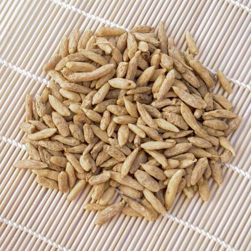 Mai Dong (Dwarf lilyturf roots) as TCM ingredient