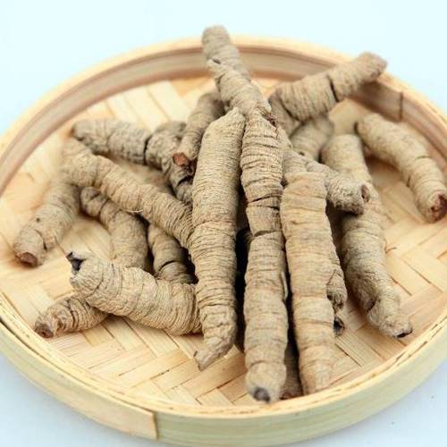 Ba Ji Tian (Morinda roots) as TCM ingredient