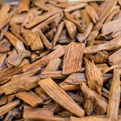 Chen Xiang (Agarwood) as TCM ingredient