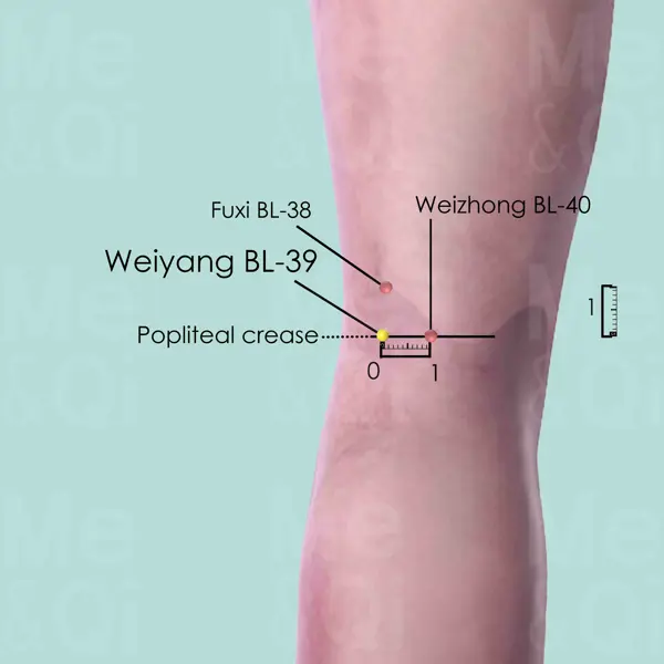 Weiyang BL-39 location