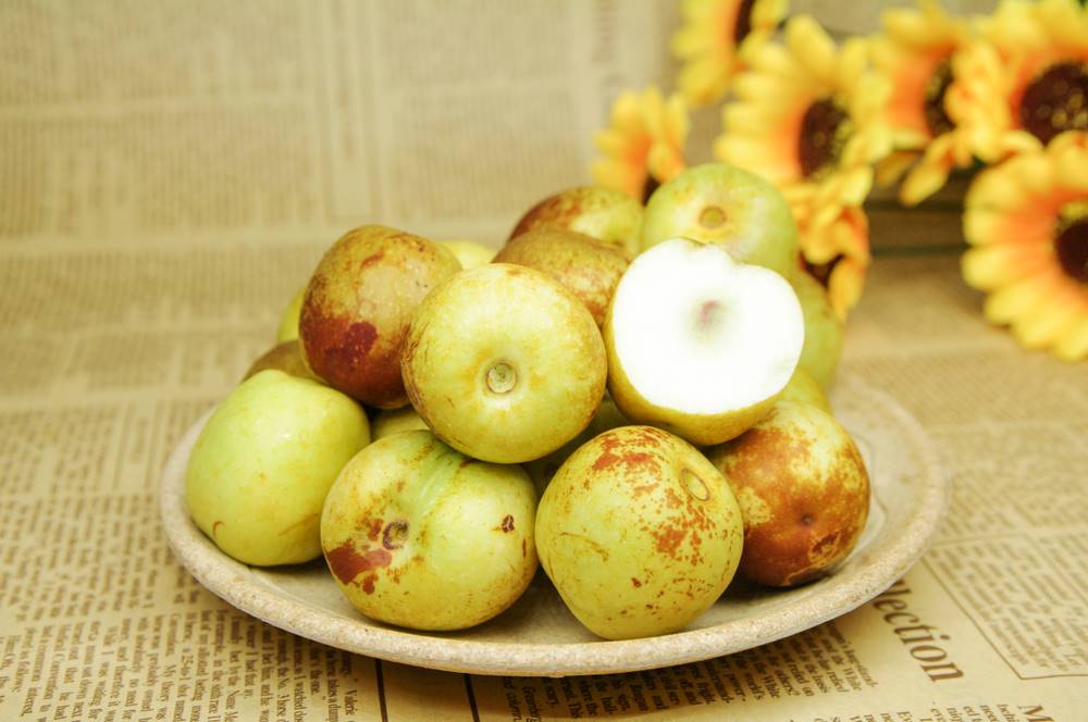 Da Zao (Jujube dates) plant