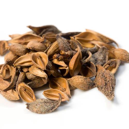 Lian Qiao (Forsythia fruits) as TCM ingredient