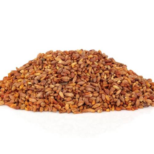 Bai Zi Ren (Biota seeds) as TCM ingredient