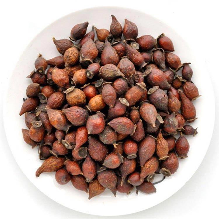 Jin Ying Zi (Cherokee rose fruits) as TCM ingredient