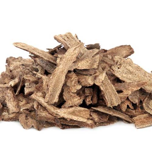 Mu Xiang (Costus roots) as TCM ingredient