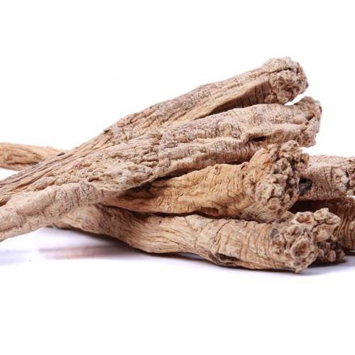 Dang Shen (Codonopsis roots) as TCM ingredient