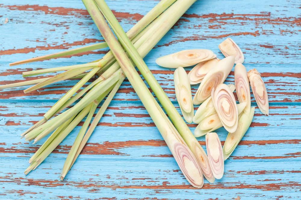 Xiang Mao (Lemongrass) plant