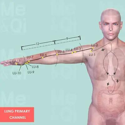 Lung Primary Channel pathway