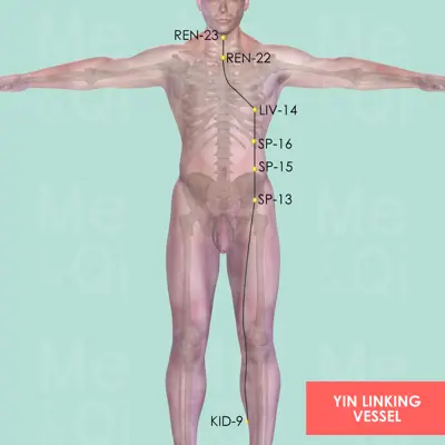 Yin Linking Vessel pathway
