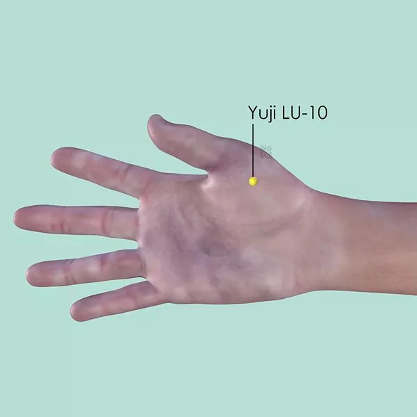 Yuji LU-10 - Skin view - Acupuncture point on Lung Channel
