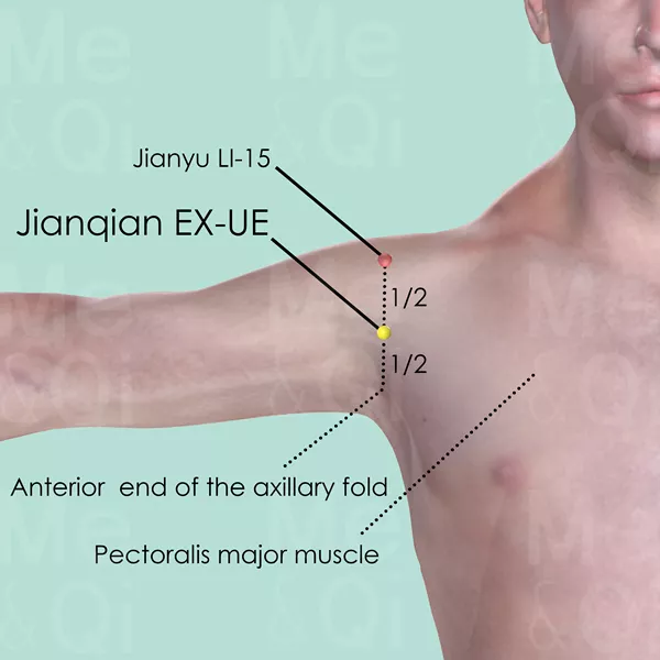 Jianqian EX-UE - Skin view - Acupuncture point on Extra Points: Upper Extremities (EX-UE)
