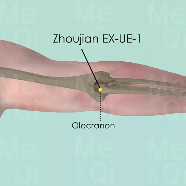 Zhoujian EX-UE-1 - Bones view - Acupuncture point on Extra Points: Upper Extremities (EX-UE)