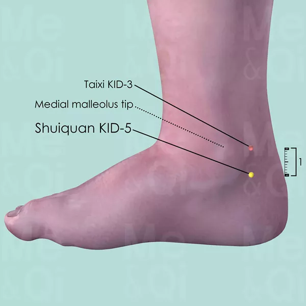 Shuiquan KID-5 - Skin view - Acupuncture point on Kidney Channel