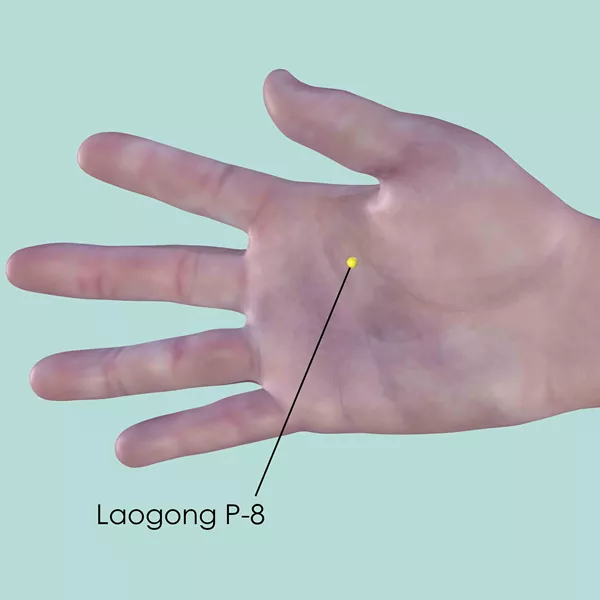 Laogong P-8 - Skin view - Acupuncture point on Pericardium Channel