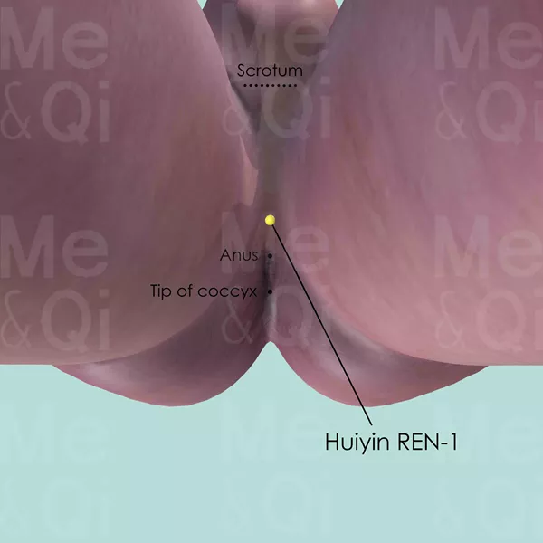 Huiyin REN-1 - Skin view - Acupuncture point on Directing Vessel