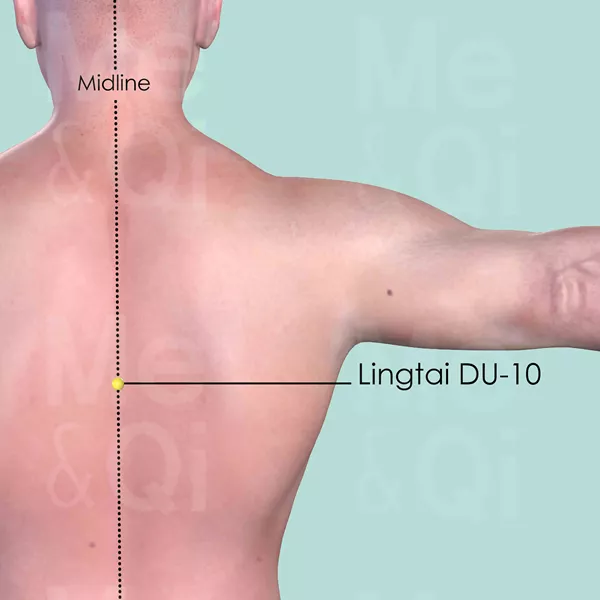 Lingtai DU-10 - Skin view - Acupuncture point on Governing Vessel
