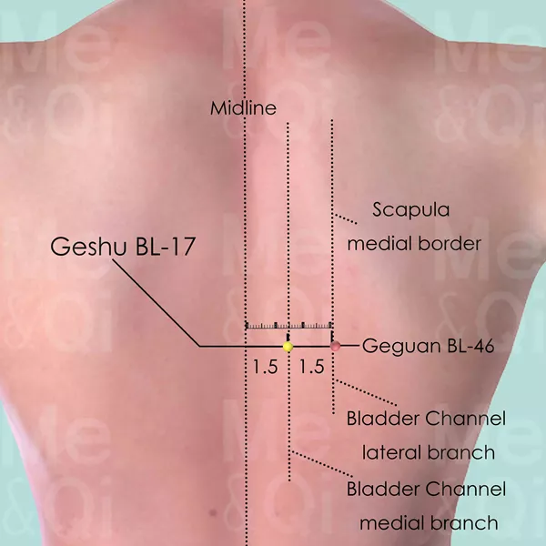 Geshu BL-17 - Skin view - Acupuncture point on Bladder Channel