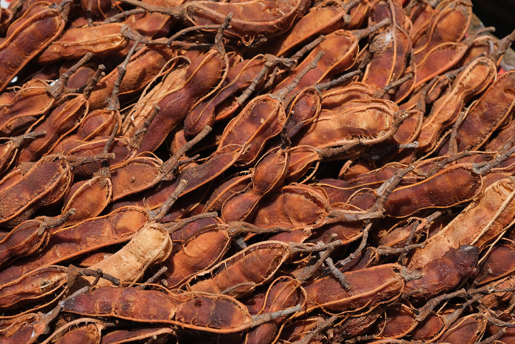 Suan Jiao (Tamarind fruits) as TCM ingredient