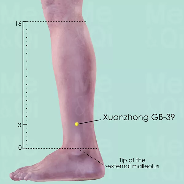Xuanzhong GB-39 - Skin view - Acupuncture point on Gall Bladder Channel