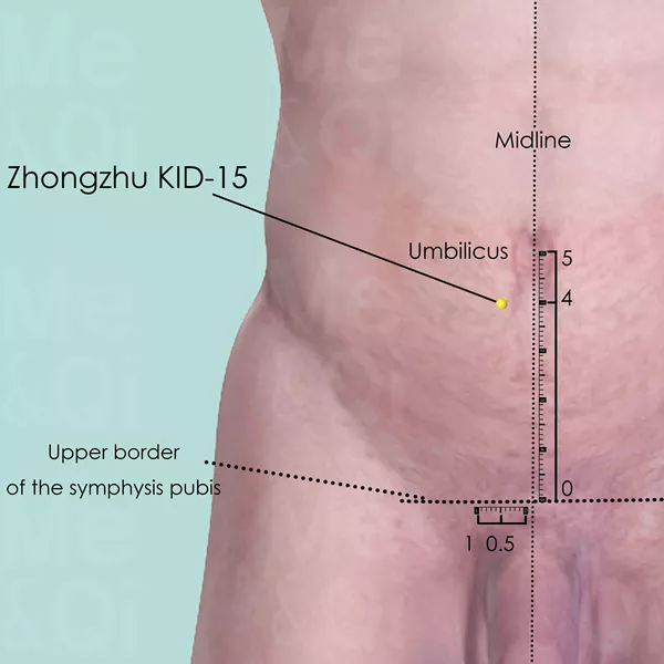 Zhongzhu KID-15 - Skin view - Acupuncture point on Kidney Channel