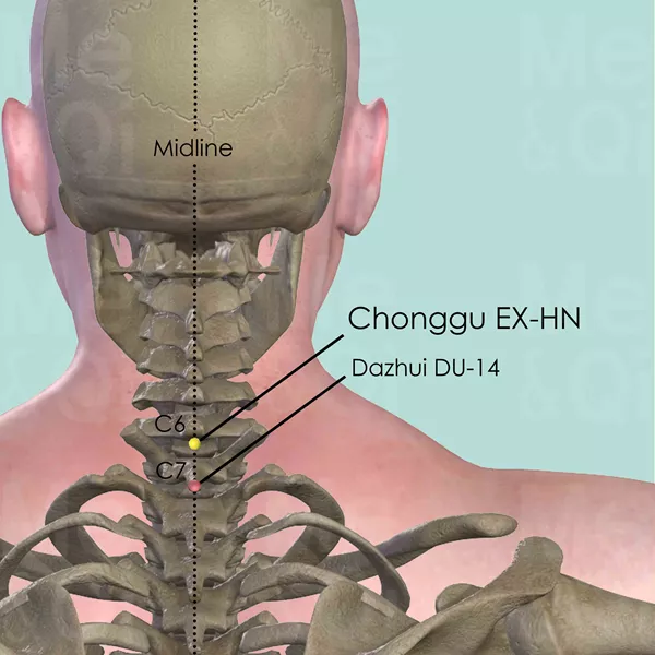 Chonggu EX-HN - Bones view - Acupuncture point on Extra Points: Head and Neck (EX-HN)