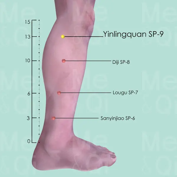 Yinlingquan SP-9 location