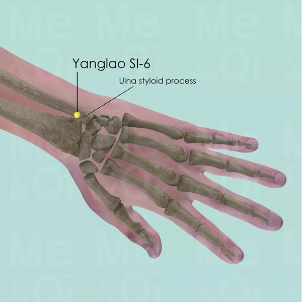 Yanglao SI-6 - Bones view - Acupuncture point on Small Intestine Channel