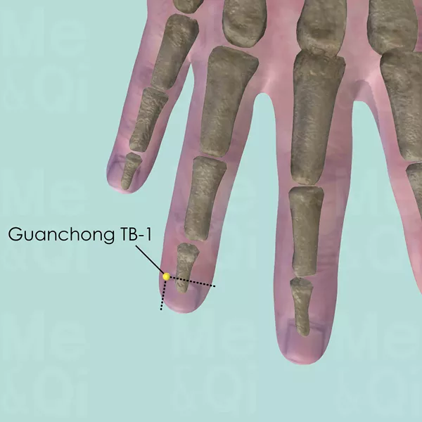 Guanchong TB-1 - Bones view - Acupuncture point on Triple Burner Channel