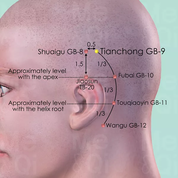 Tianchong GB-9 - Skin view - Acupuncture point on Gall Bladder Channel