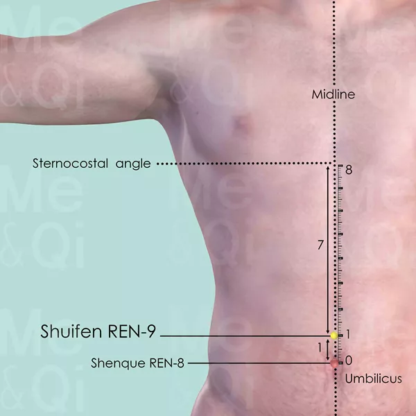 Shuifen REN-9 - Skin view - Acupuncture point on Directing Vessel