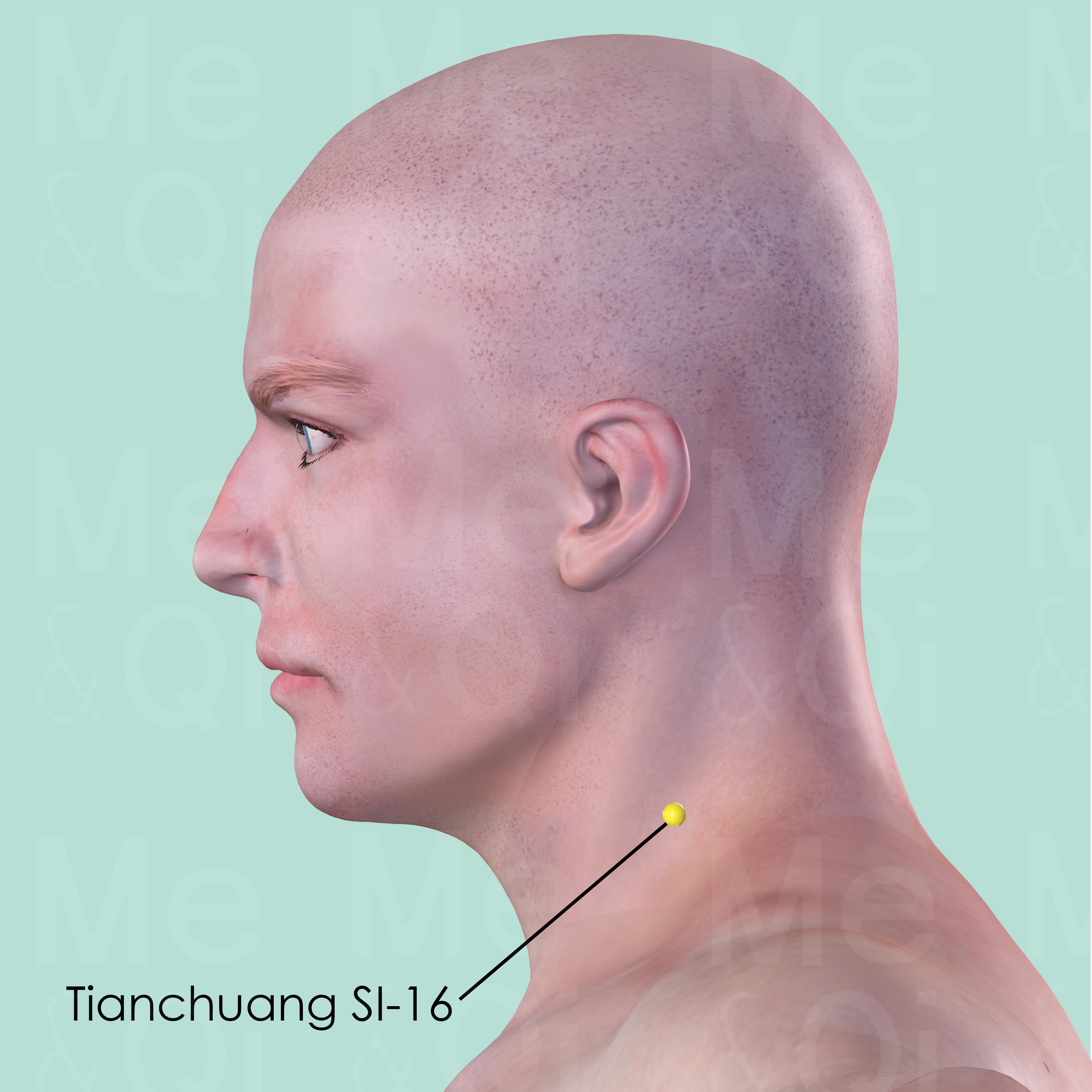 Tianchuang SI-16