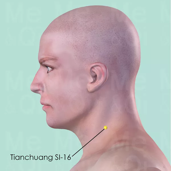 Tianchuang SI-16 - Skin view - Acupuncture point on Small Intestine Channel