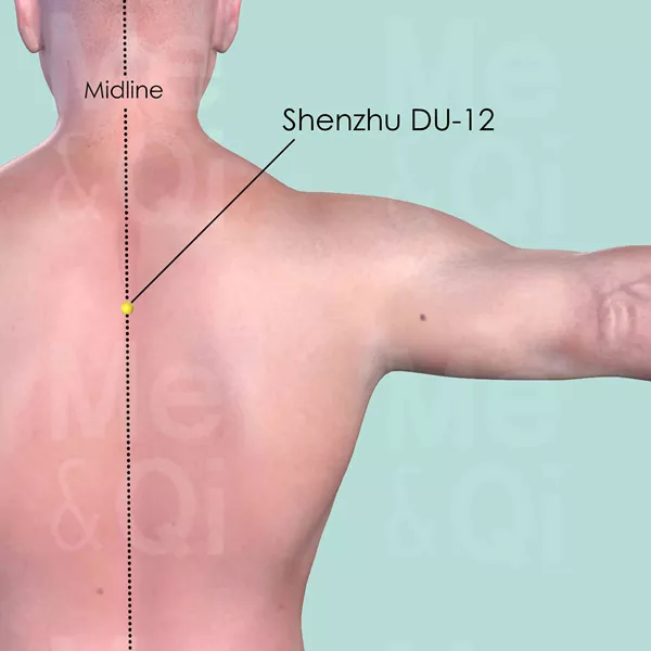 Shenzhu DU-12 - Skin view - Acupuncture point on Governing Vessel