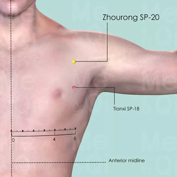Zhourong SP-20 - Skin view - Acupuncture point on Spleen Channel
