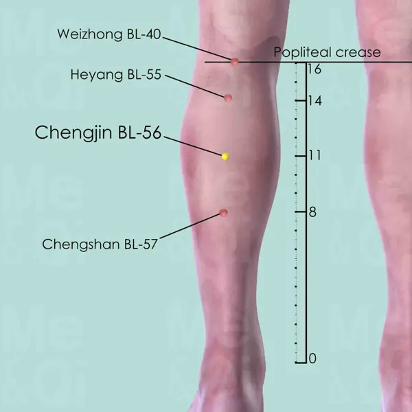 Chengjin BL-56 location