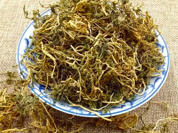 What Chinese Lobelia herb looks like as a TCM ingredient