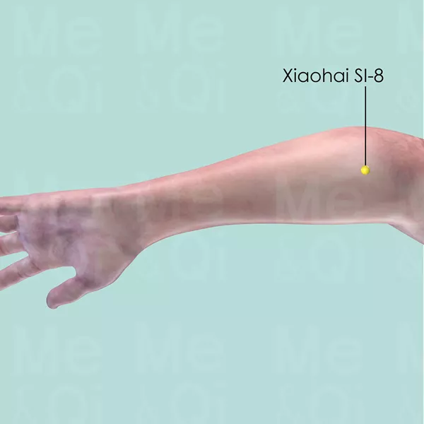 Xiaohai SI-8 - Skin view - Acupuncture point on Small Intestine Channel