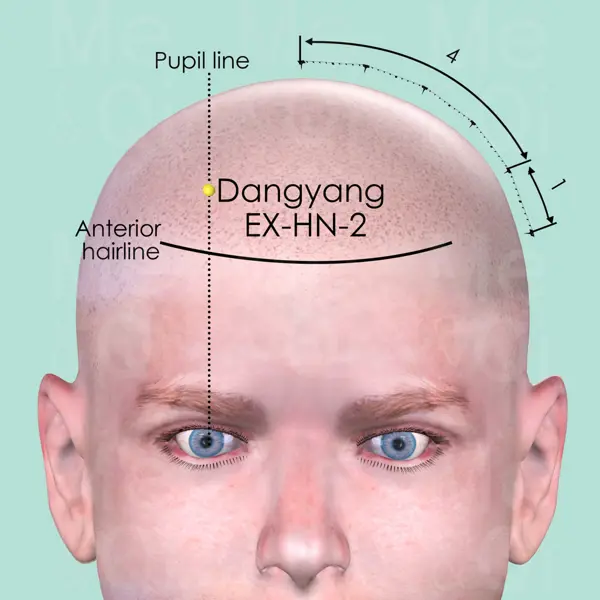 Dangyang EX-HN-2 location