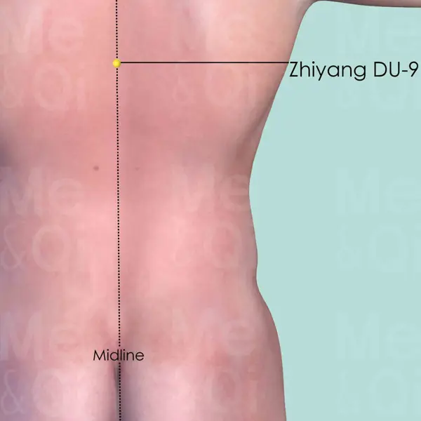 Zhiyang DU-9 location